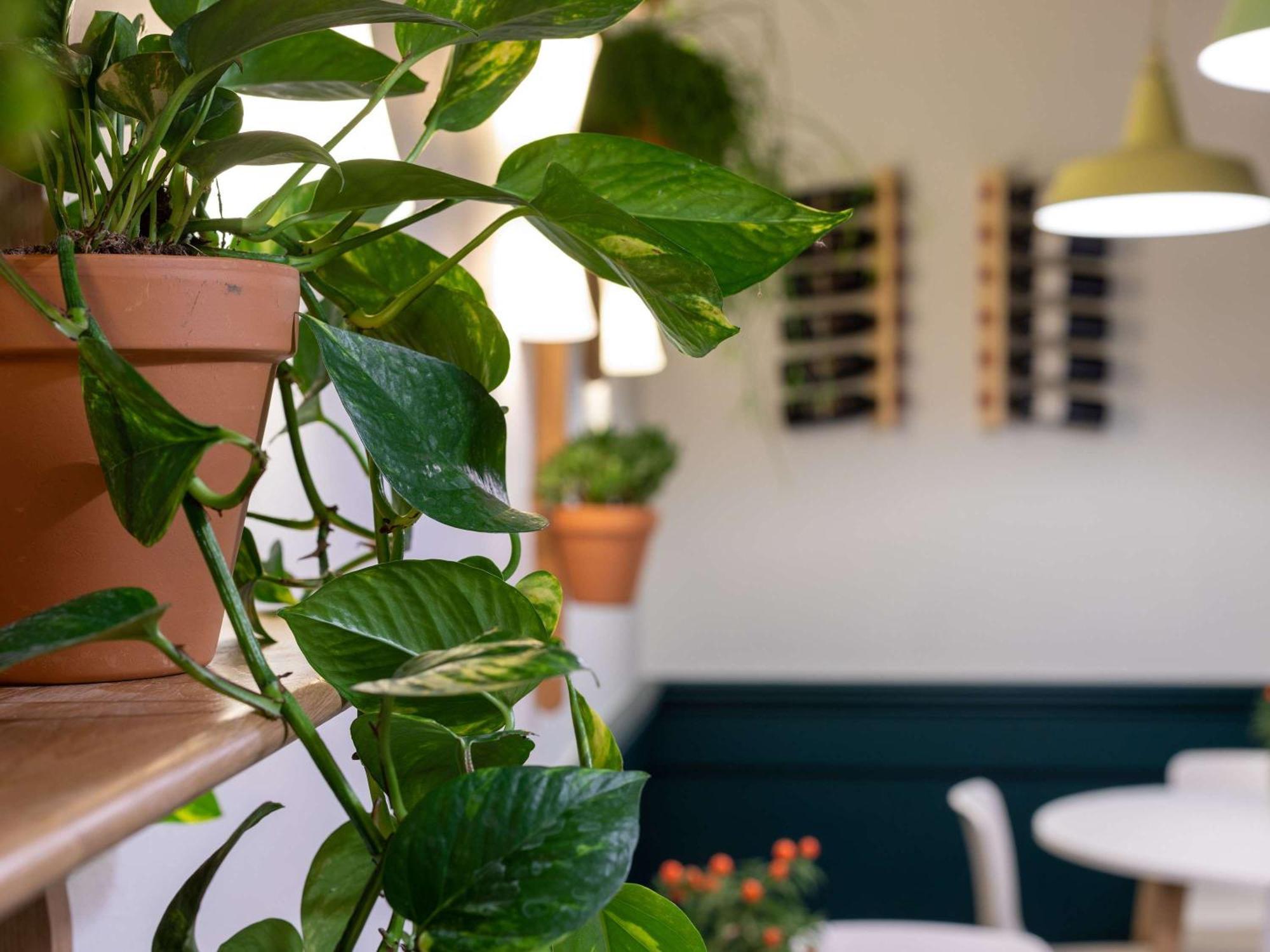 Ibis Dunkerque Hotel Dunkirk Bagian luar foto